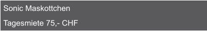 Sonic Maskottchen  Tagesmiete 75,- CHF