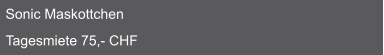 Sonic Maskottchen  Tagesmiete 75,- CHF
