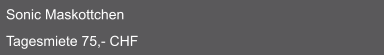 Sonic Maskottchen  Tagesmiete 75,- CHF